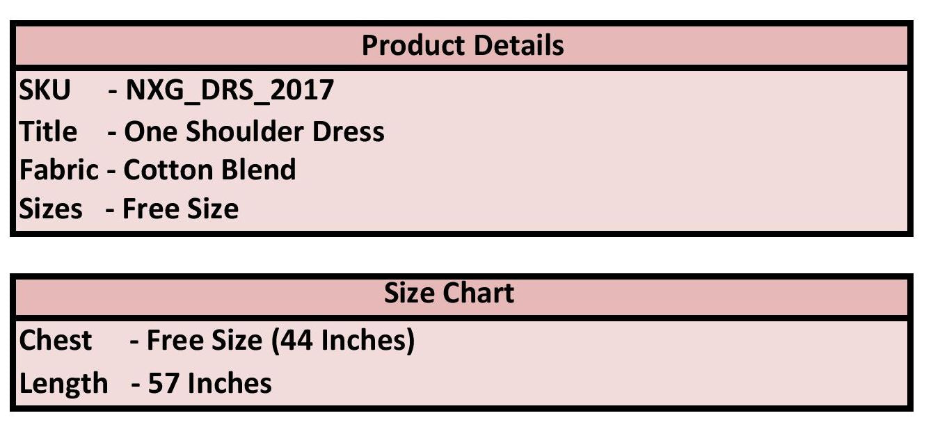 Zebra Print One Shoulder Maxi Dress