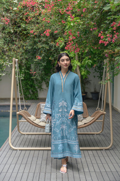 Blue Elegant Kurta Set