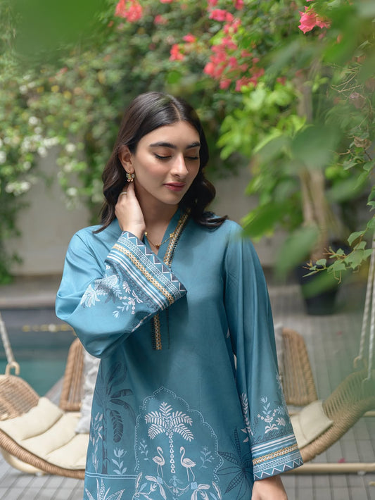 Blue Elegant Kurta Set